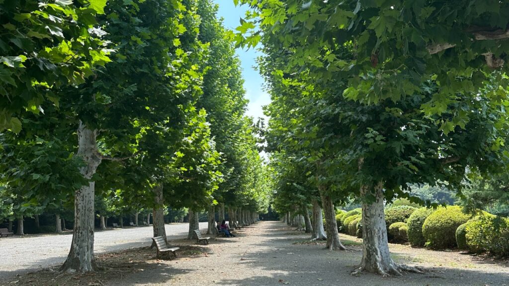 Shinjuku Gyoen National Garden, Tokyo, Japan