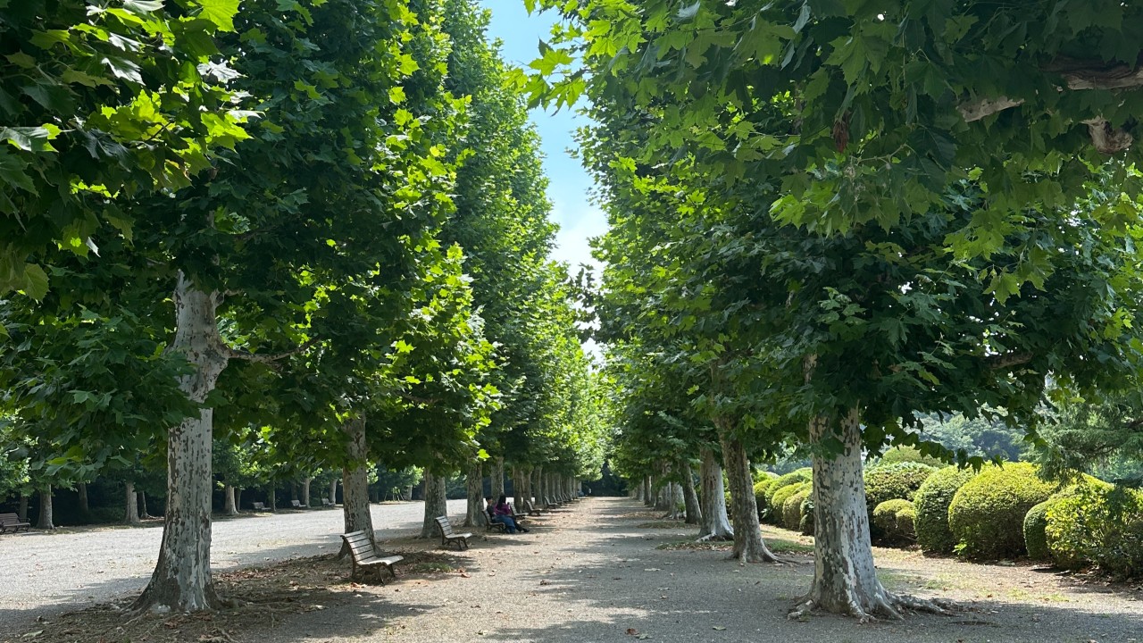 Shinjuku Gyoen National Garden, Tokyo, Japan
